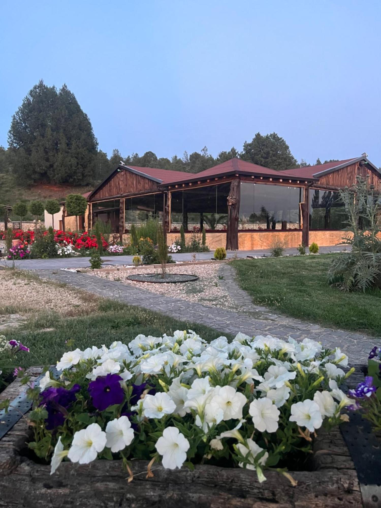 El Burgo De Osma Alojamiento Rural Villa Bagh Exterior foto